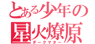 とある少年の星火燎原（ダークマター）