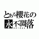 とある櫻花の永不凋落（ａｄｉｄａｓ）