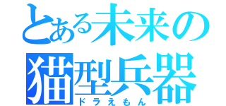 とある未来の猫型兵器（ドラえもん）