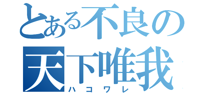 とある不良の天下唯我独損（ハコワレ）