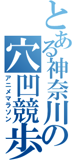 とある神奈川の穴凹競歩（アニメマラソン）