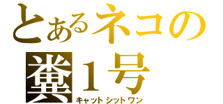 とあるネコの糞１号（キャットシットワン）