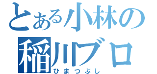 とある小林の稲川ブログ（ひまつぶし）