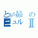 とある昴のニュルⅡ（）