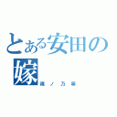 とある安田の嫁（篠ノ乃箒）