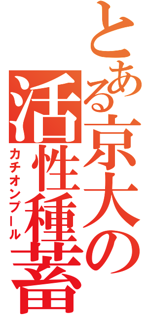 とある京大の活性種蓄積（カチオンプール）