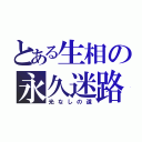 とある生相の永久迷路（光なしの道）