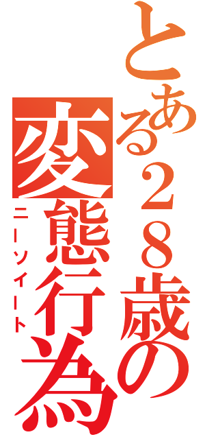 とある２８歳の変態行為（ニーソイート）