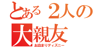 とある２人の大親友（お泊まりディズニー）