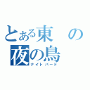 とある東の夜の鳥（ナイトバード）