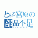 とある宮原の部品不足（ツインペダル）