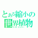 とある縮小の世界植物（イグドラシラー）