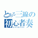 とある三線の初心者奏者（シャミセニスト）