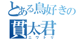 とある鳥好きの貫太君（ニワトリ）