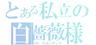 とある私立の白薔薇様（ロサ・ギガンティア）