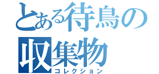 とある待鳥の収集物（コレクション）