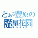 とある豐原の流星花園（還有廟東）