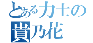 とある力士の貴乃花（）