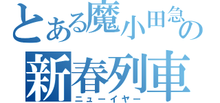 とある魔小田急の新春列車（ニューイヤー）