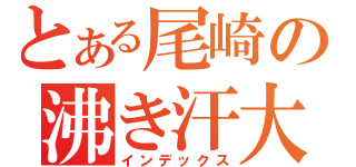 とある尾崎の沸き汗大洪水（インデックス）