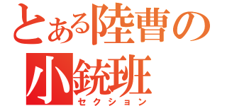 とある陸曹の小銃班（セクション）