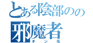 とある陰部のの邪魔者（チン毛）