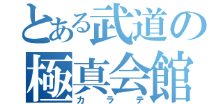 とある武道の極真会館（カラテ）