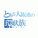 とある大阪港の環状族（トリ－ズン）