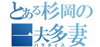 とある杉岡の一夫多妻（パラダイス）