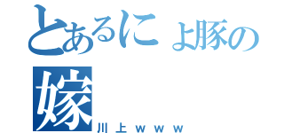 とあるにょ豚の嫁（川上ｗｗｗ）