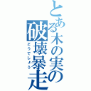 とある木の実の破壊暴走（どうでしょう）