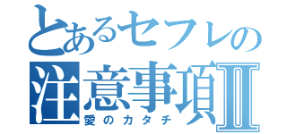 とあるセフレの注意事項Ⅱ（愛のカタチ）