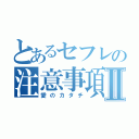 とあるセフレの注意事項Ⅱ（愛のカタチ）