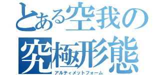 とある空我の究極形態（アルティメットフォーム）