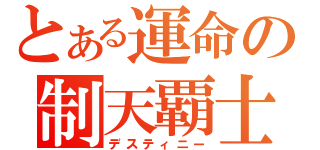 とある運命の制天覇士（デスティニー）