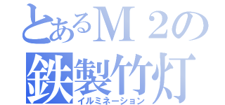 とあるＭ２の鉄製竹灯（イルミネーション）