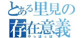 とある里見の存在意義（やっぽっぽ）