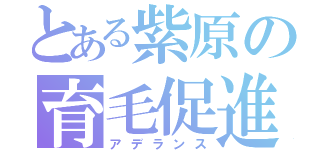 とある紫原の育毛促進（アデランス）