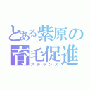 とある紫原の育毛促進（アデランス）