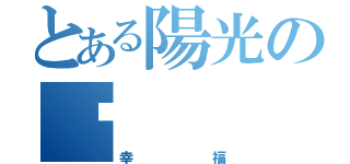 とある陽光の喵（幸福）