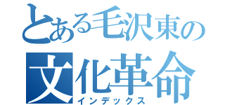 とある毛沢東の文化革命（インデックス）