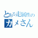 とある走属性のカメさんチーム（）