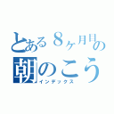 とある８ヶ月目の朝のこうちゃん（インデックス）