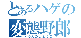 とあるハゲの変態野郎（うえのしょうご）