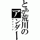 とある荒川のアンダー（ザブリッジ）