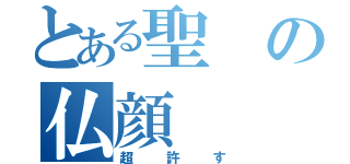 とある聖の仏顔（超許す）