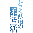 とある武道の柔道生活（ネルソン）