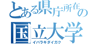 とある県庁所在地の国立大学（イバラキダイガク）