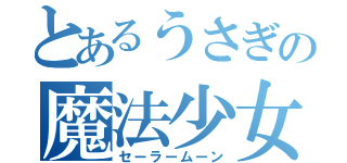 とあるうさぎの魔法少女（セーラームーン）