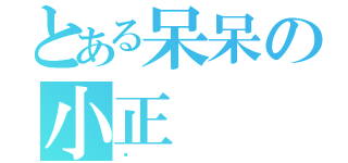 とある呆呆の小正（™）